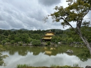 Kingaku-Ji in Kyoto